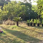 House In The Country